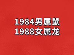 1984男属鼠1988女属龙-1984男