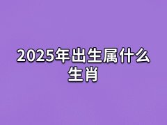 2025年出生属什么生肖:生肖