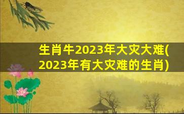 生肖牛2023年大灾大难(20