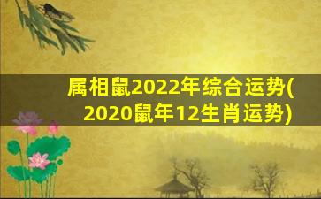 属相鼠2022年综合运势(