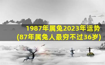 <strong>1987年属兔2023年运势(87年</strong>