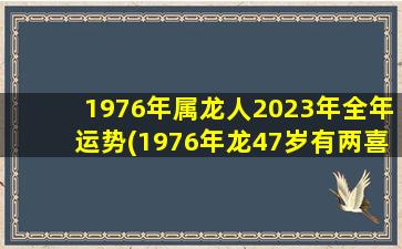 1976年属龙人2023年全年运势