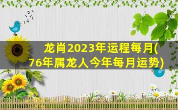龙肖2023年运程每月(76年