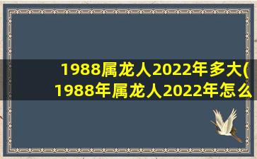1988属龙人2022年多大(1988年