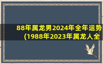88年属龙男2024年全年运势