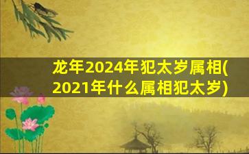 <strong>龙年2024年犯太岁属相(20</strong>