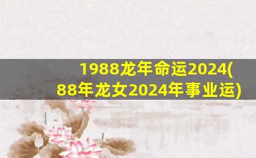 1988龙年命运2024(88年龙女