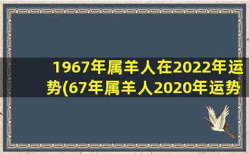 1967年属羊人在2022年运势(67年属羊人2020年运势)