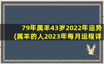 <b>79年属羊43岁2022年运势(属羊的人2023年每月运程详解)</b>