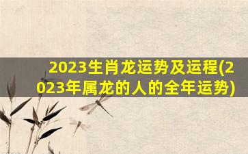 2023生肖龙运势及运程(20