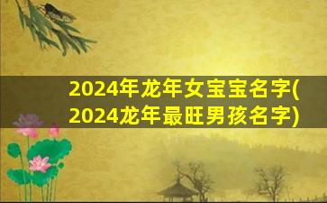 2024年龙年女宝宝名字(20