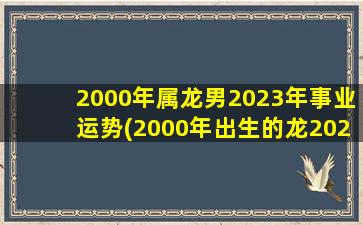 2000年属龙男2023年事业运