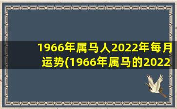 1966年属马人2022年每月运势(1966年属马的2022年运气)