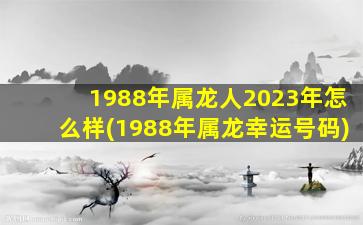 1988年属龙人2023年怎么样