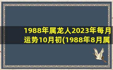 <strong>1988年属龙人2023年每月运</strong>