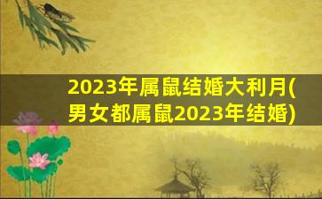 <strong>2023年属鼠结婚大利月(男</strong>