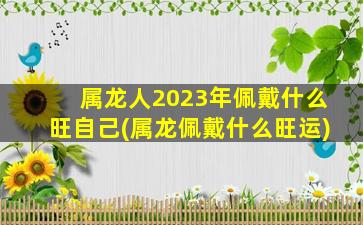 <strong>属龙人2023年佩戴什么旺自</strong>