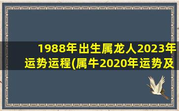 1988年出生属龙人2023年运