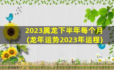 <strong>2023属龙下半年每个月(龙</strong>