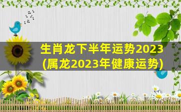 生肖龙下半年运势2023(属