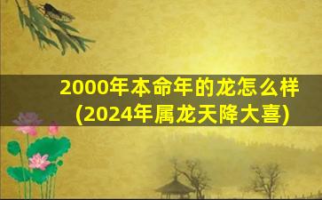 <strong>2000年本命年的龙怎么样</strong>