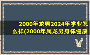 2000年龙男2024年学业怎么