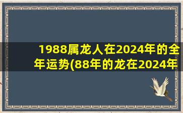 1988属龙人在2024年的全年