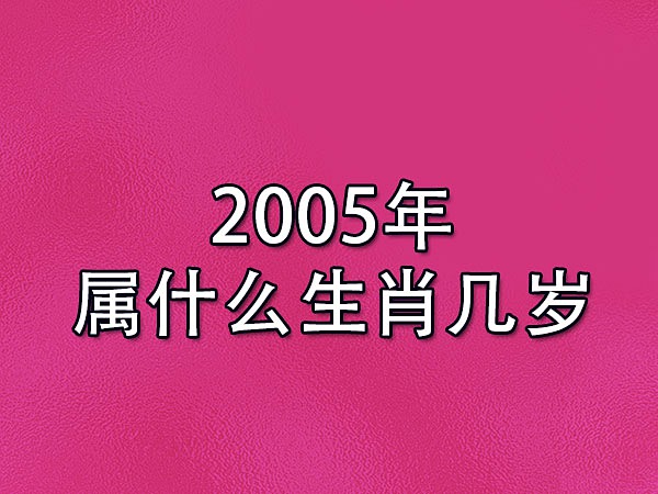 2005年属什么生肖几岁-20