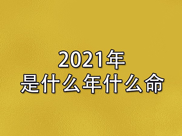 2021年是什么年什么命：辛