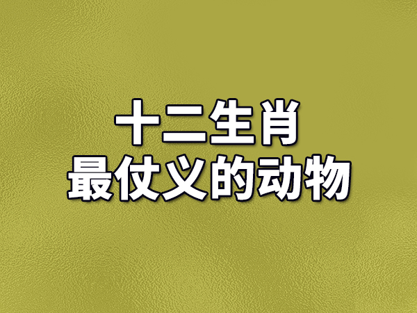 十二生肖最仗义的动物