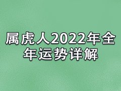 属虎人2022年全年运势详解