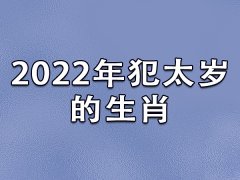 2022年犯太岁的生肖：属猴/属蛇/属猪/属虎