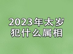 2023年太岁犯什么属相：属龙/属鼠/属兔/属鸡