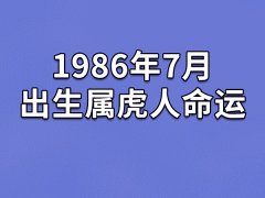 1986年7月出生属虎人命运