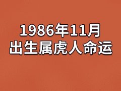 1986年11月出生属虎人命运