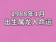 1988年1月出生属龙人命运