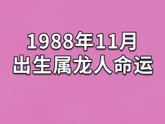 1988年11月出生属龙人命运