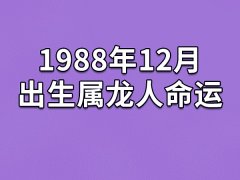 1988年12月出生属龙人命运