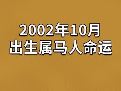 2002年10月出生属马人命运