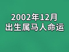 2002年12月出生属马人命运