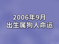 2006年9月出生属狗人命运(农历、爱情、事业运势解析)