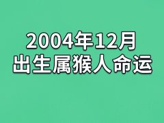 2004年12月出生属猴人命运(农历、爱情、事业运势解析)