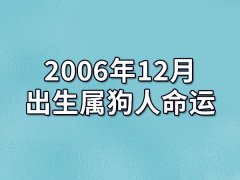 2006年12月出生属狗人命运(农历、爱情、事业运势解析)