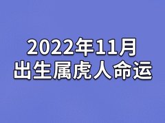 2022年11月出生属虎人命运