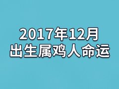 2017年12月出生属鸡人命运(农历、爱情、事业运势解析)