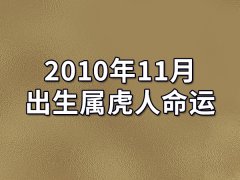 2010年11月出生属虎人命运(农历、爱情、事业运势解析)