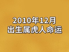 2010年12月出生属虎人命运(农历、爱情、事业运势解析)