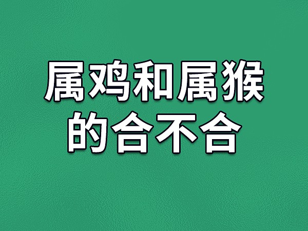 属鸡和属猴的合不合