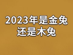 2023年是金兔还是木兔-20