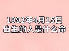 1992年4月15日出生的人是什
